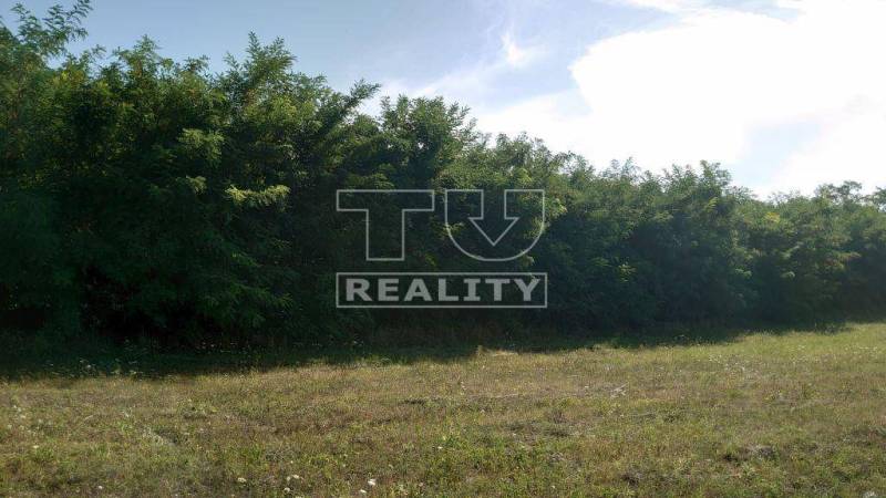 Štvrtok Pozemky - rekreace prodej reality Trenčín