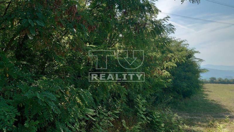 Štvrtok Pozemky - rekreace prodej reality Trenčín