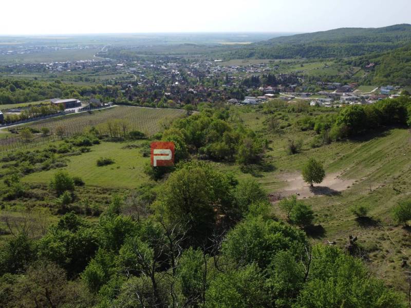 Limbach Pozemky - bydlení prodej reality Pezinok