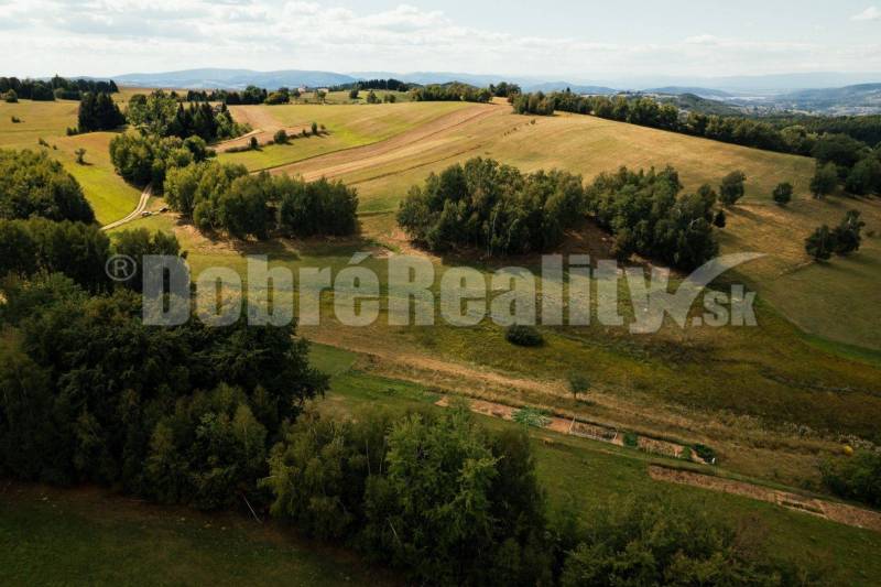 Detvianska Huta Pozemky - bydlení prodej reality Detva