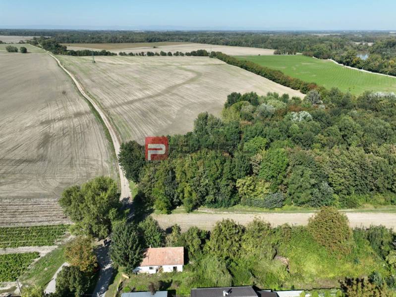 Potônske Lúky Pozemky - bydlení prodej reality Dunajská Streda