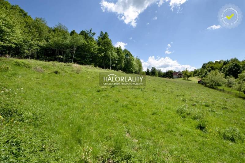 Kľak Pozemky - rekreace prodej reality Žarnovica