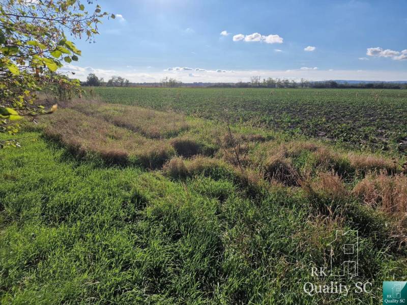 Senec Pozemky - bydlení prodej reality Senec