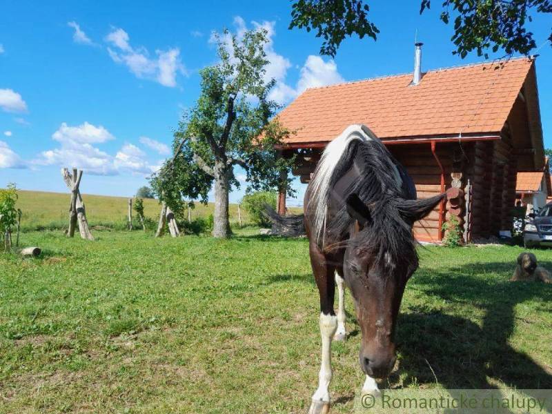 Zemiansky Vrbovok Chata prodej reality Krupina