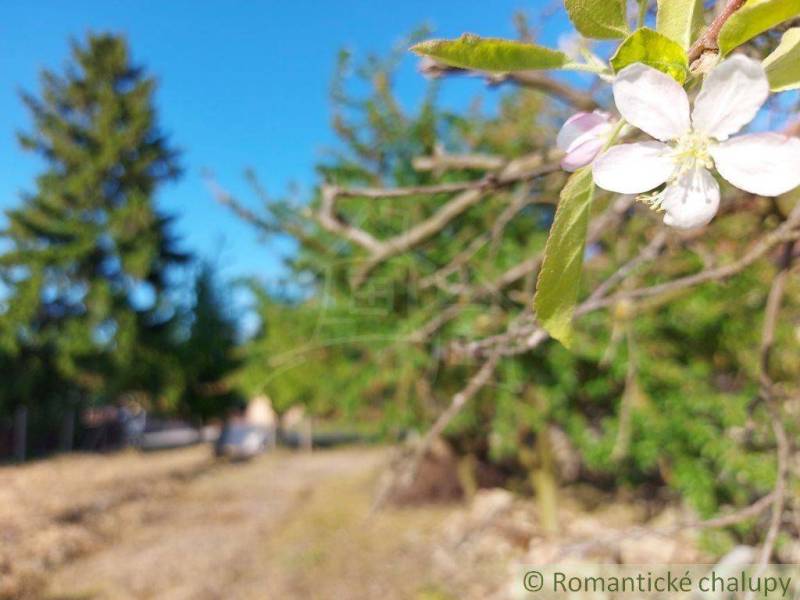 Komárno Pozemky - bydlení prodej reality Komárno