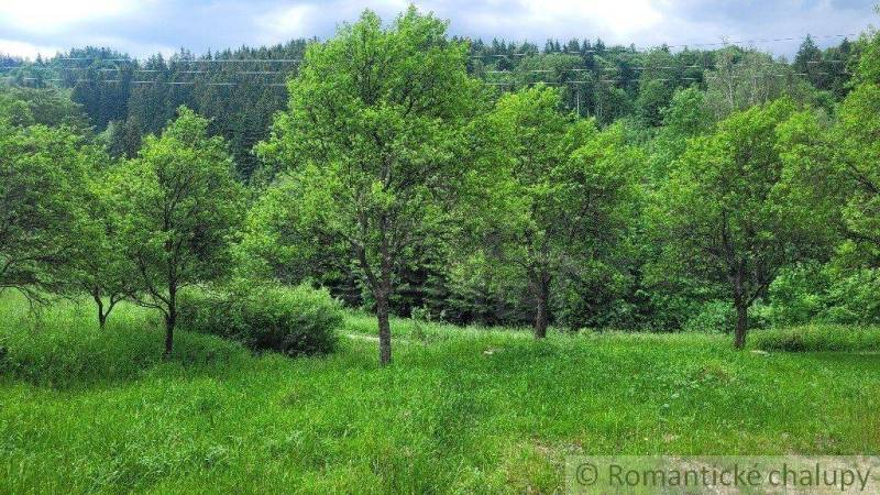 Veľké Rovné Pozemky - bydlení prodej reality Bytča