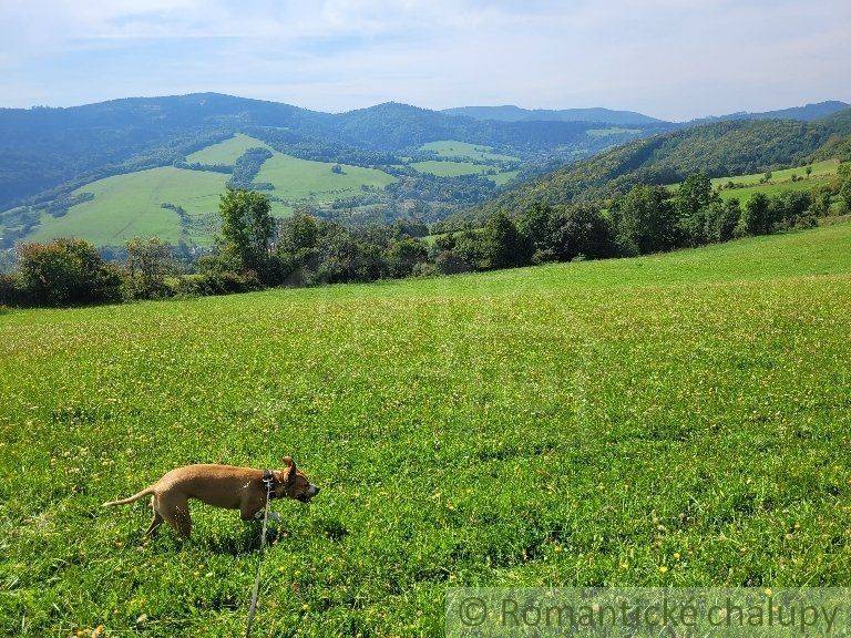 Púchov Zahrady prodej reality Púchov