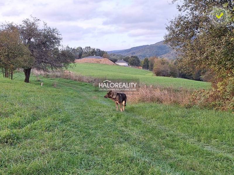 Seč Pozemky - bydlení prodej reality Prievidza