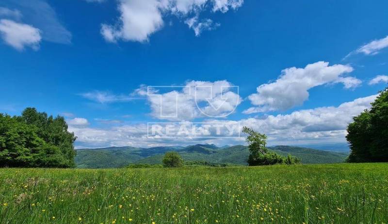 Horné Srnie Pozemky - rekreace prodej reality Trenčín