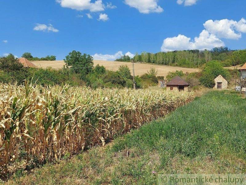 Komárno Chata prodej reality Komárno