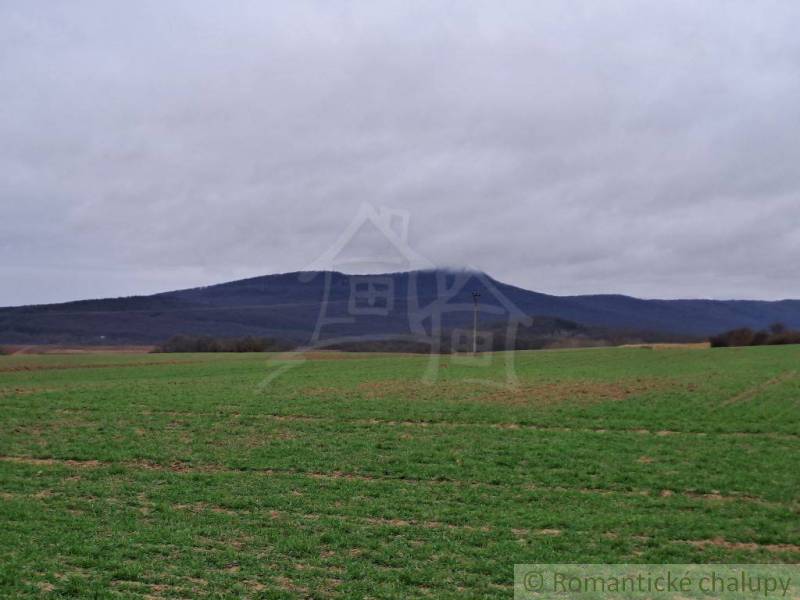 Zlaté Moravce Rodinný dům prodej reality Zlaté Moravce