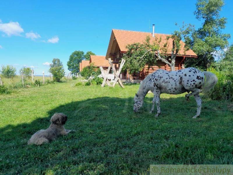 Zemiansky Vrbovok Chata prodej reality Krupina