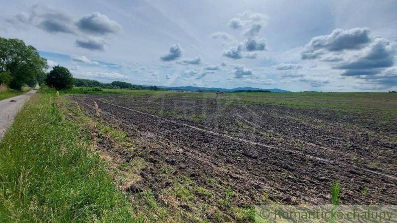 Borský Mikuláš Zahrady prodej reality Senica