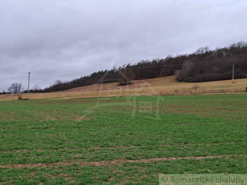 Zlaté Moravce Rodinný dům prodej reality Zlaté Moravce