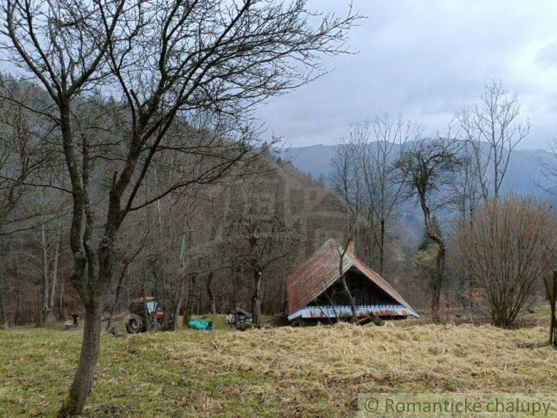 Veľké Rovné Chata prodej reality Bytča