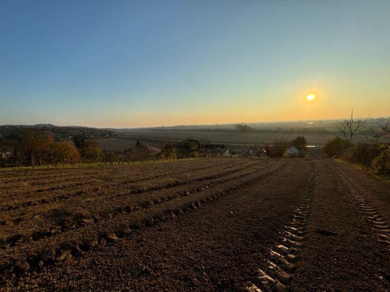 Levice Pozemky - bydlení prodej reality Levice