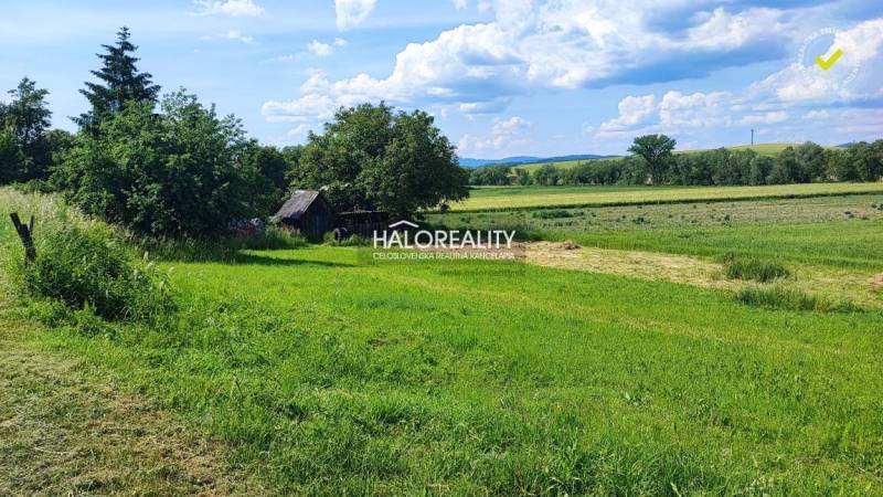 Hrnčiarske Zalužany Pozemky - bydlení prodej reality Poltár