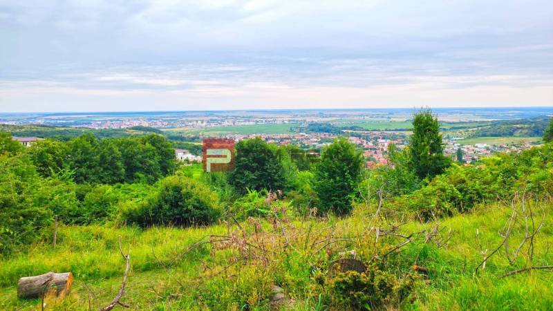 Limbach Pozemky - bydlení prodej reality Pezinok