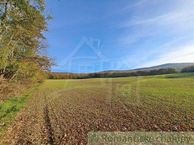 Horné Lefantovce Pozemky - rekreace prodej reality Nitra