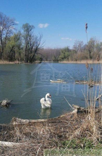 Dunajská Streda Rodinný dům prodej reality Dunajská Streda