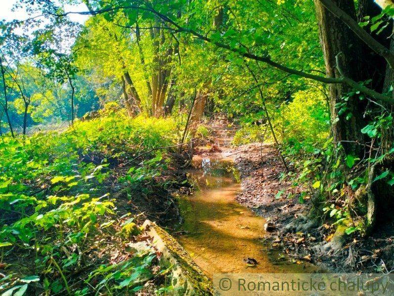 Nové Mesto nad Váhom Chata prodej reality Nové Mesto nad Váhom