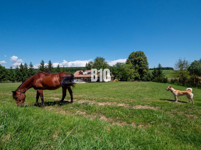 Breznička Vila prodej reality Poltár